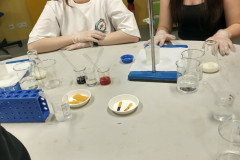 498540436_1262602499204326_8642988312155630532_n
