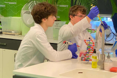 4c4a44b5-a79c-47a4-847e-86ec5da7566a