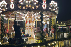 597827242_1446936050770969_8745029108747087414_n