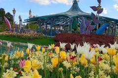 678231622_122110160277097910_5234736281973419115_n