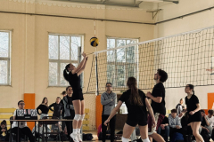 e74d00b9-c0d3-4a9b-bc94-ddb18c2cdcf1