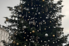 591977888_1443345447796696_2023400975003871242_n